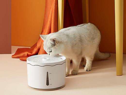 猫猫饮水机