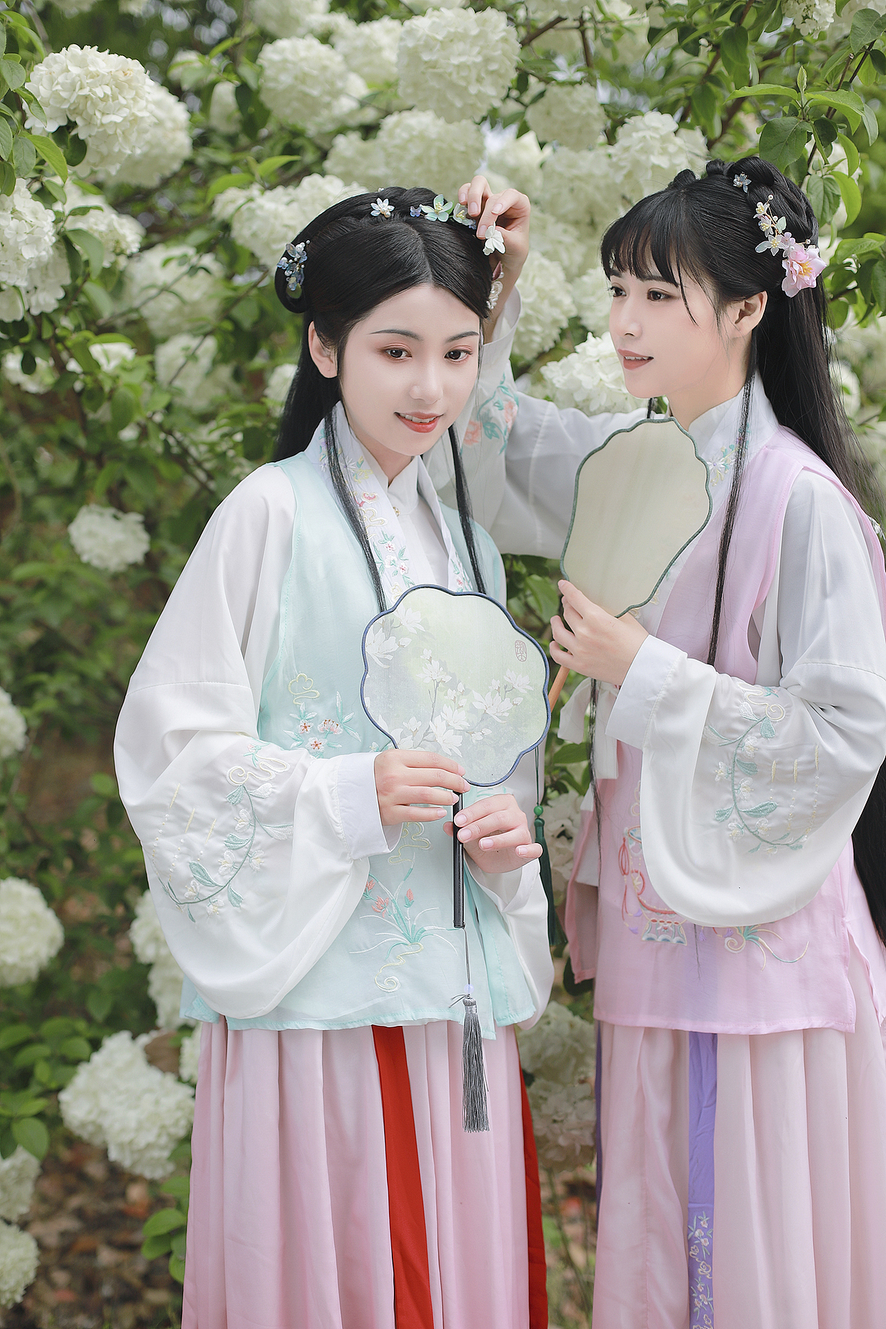 春日花神 木绣球 |绣球春晚欲生寒 满树玲珑雪未干