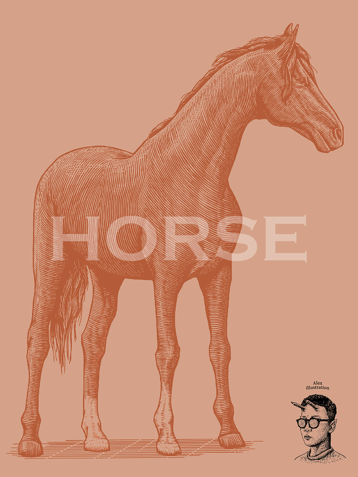 原创插画｜古典跑车（图ZMjYzMzIyMTc2） - 商业插画 - 站酷设计师花椒的Alex原创素材 - 站酷ZCOOL