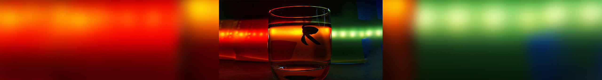 苏YY的个人主页（封面预览） - 主页封面设置 - 站酷设计师苏YY原创素材 - 站酷ZCOOL