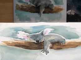 3水彩動(dòng)物-考拉