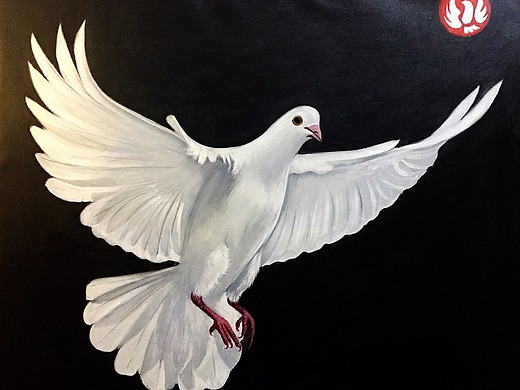 和平鸽
