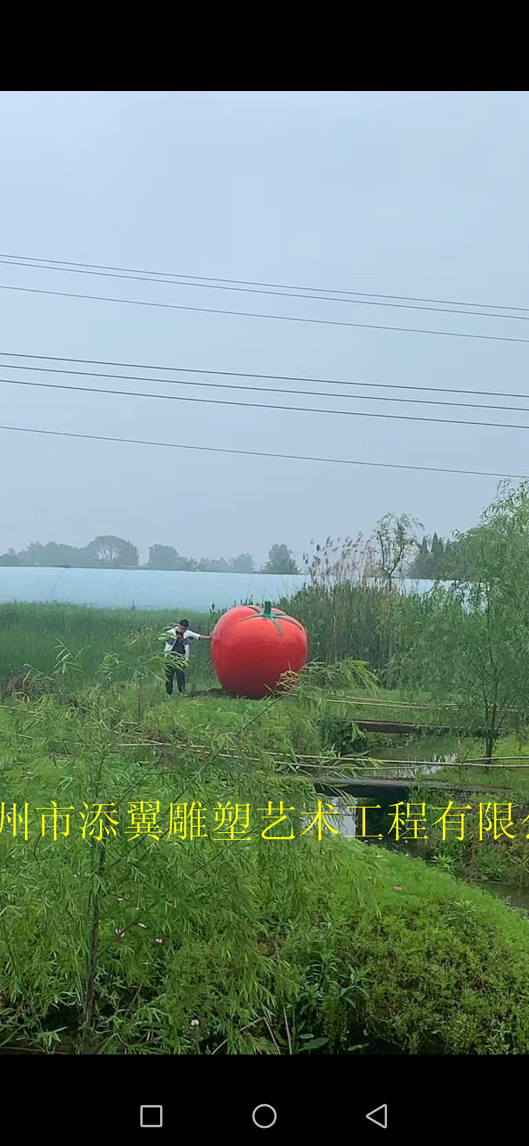 圆润饱满透红透亮的玻璃钢番茄雕塑造型西红柿模型雕像