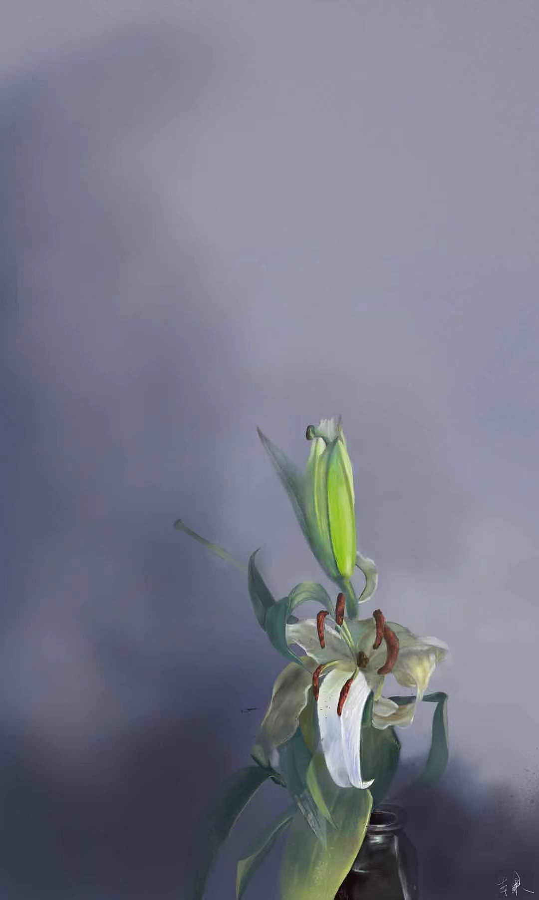 百合花（图ZMjU4NTYzNDY4） - 创作习作 - 站酷设计师Z67522939原创素材 - 站酷ZCOOL