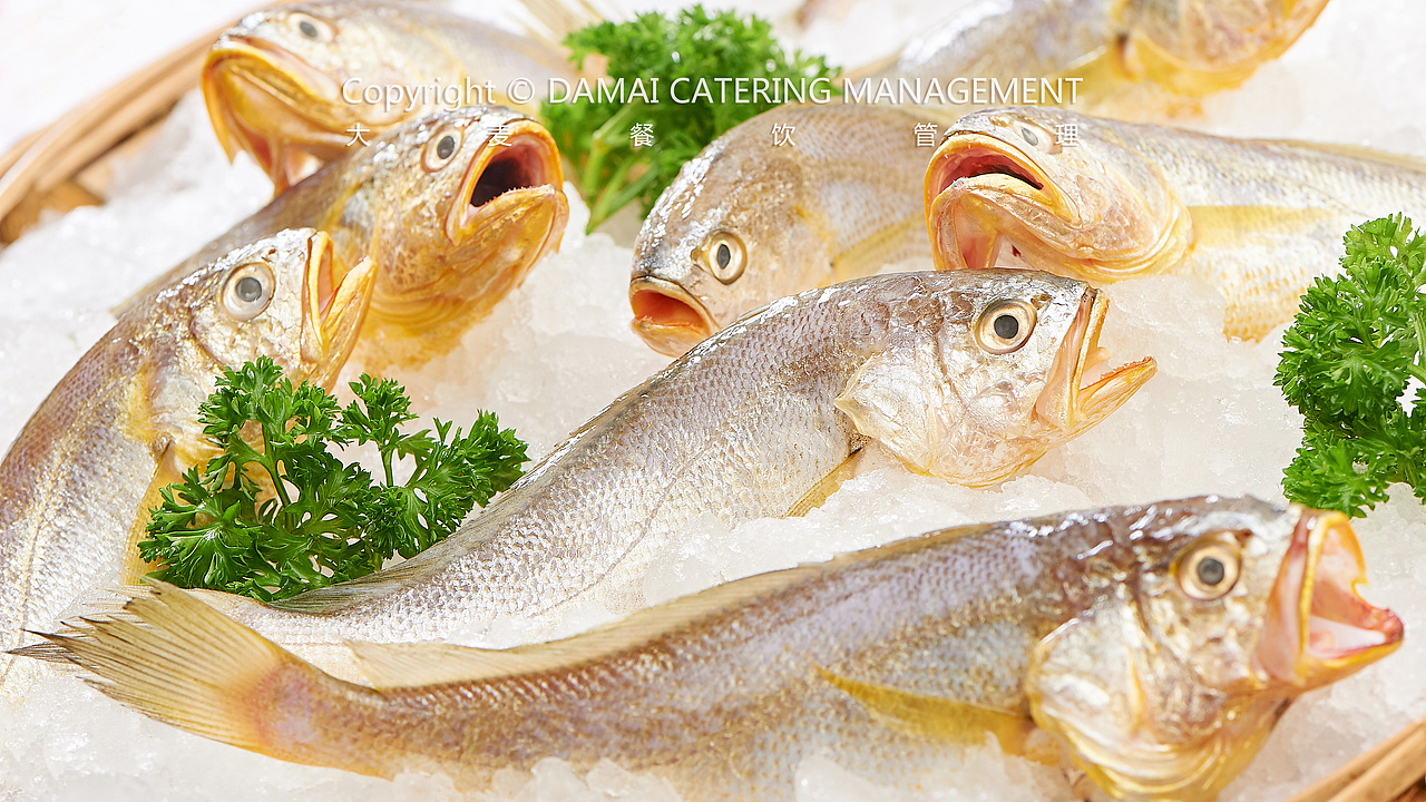 潮旺渔港（图ZMTY2OTM2MTE2） - 产品摄影 - 站酷设计师PHOTOMAN摄影侠原创素材 - 站酷ZCOOL