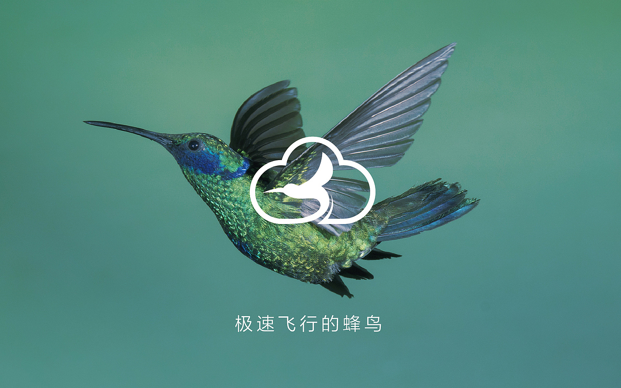 蜂鸟发现科技公司logo设计北京智尚力合创意