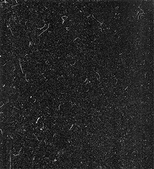 北阿野的個(gè)人主頁（背景預(yù)覽） - 主頁背景設(shè)置 - 站酷設(shè)計(jì)師北阿野原創(chuàng)素材 - 站酷ZCOOL