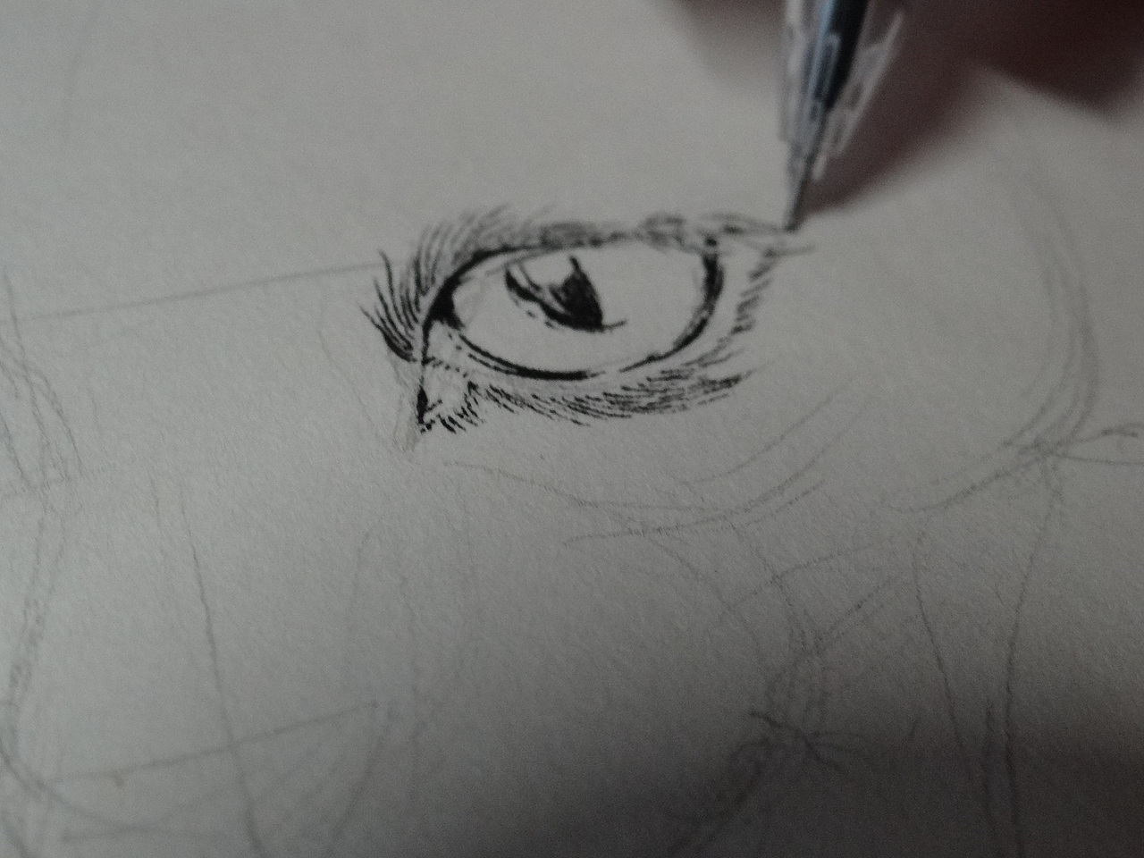 2018·第一张·彪记寿司（图ZMTAyMjc5NjUy） - 创作习作 - 站酷设计师Humanhu原创素材 - 站酷ZCOOL