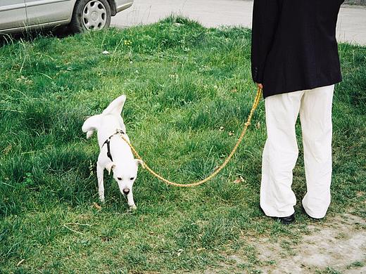 找物（個(gè)人主頁-ZMzUxOTM3OTY=） - 人文/紀(jì)實(shí)攝影 - 站酷設(shè)計(jì)師我是皮皮呀原創(chuàng)素材 - 站酷ZCOOL