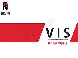 VIS模板