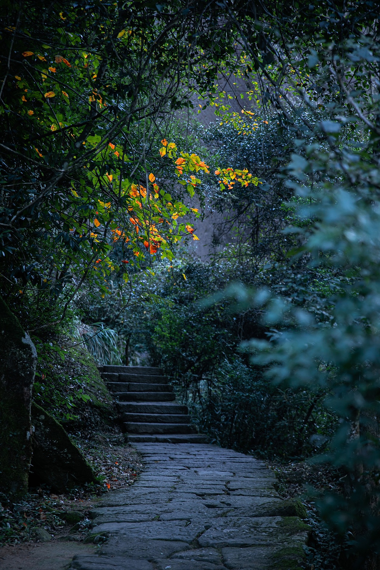 茶叶随拍（图ZMjc3NTY2NDYw） - 风光摄影 - 站酷设计师听说你也来过原创素材 - 站酷ZCOOL