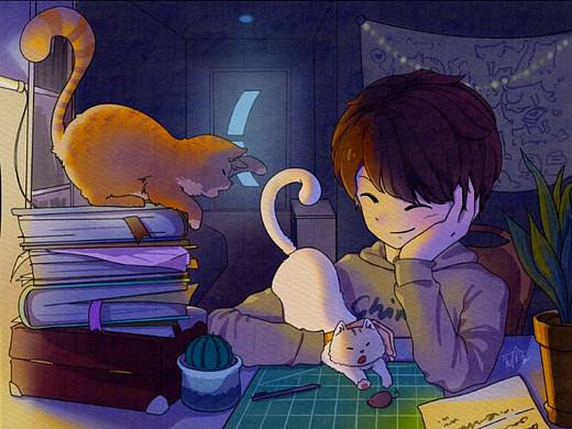 和猫咪的幸福生活