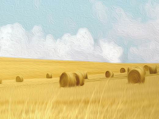 芒種（個人主頁-ZNDUzNTE3OTI=） - 海報 - 站酷設(shè)計師谷中鶯原創(chuàng)素材 - 站酷ZCOOL