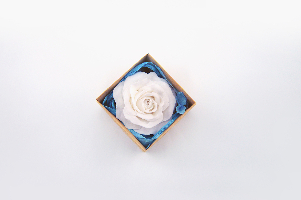 超轻粘土——玫瑰花