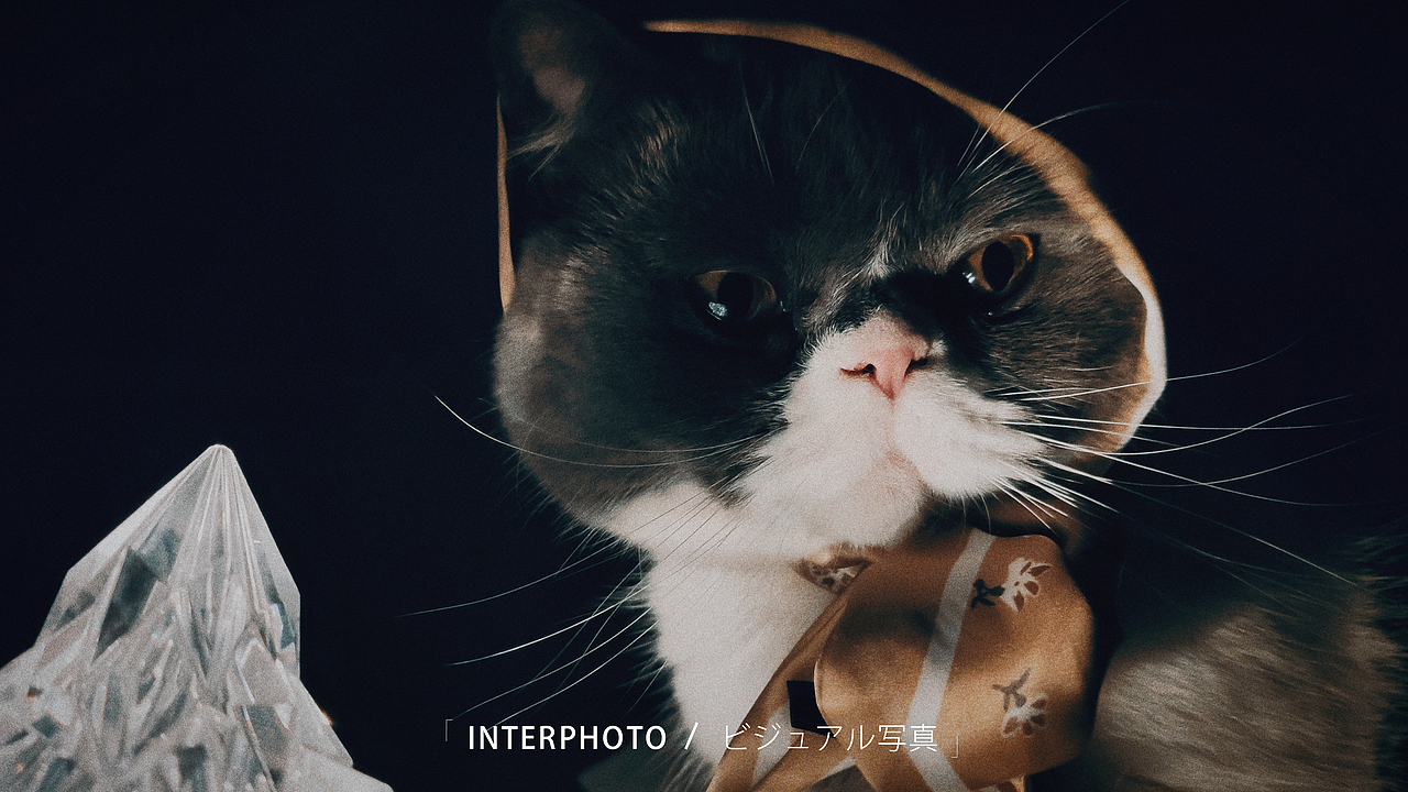 八喜的生日贴纸