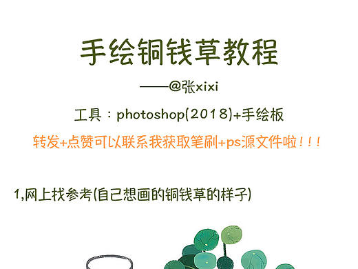  张xixi的插画教程第1弹-手绘仙人掌
