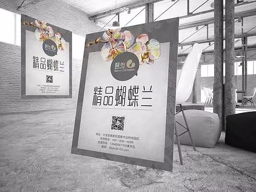 馨怡蝴蝶蘭-展板/導(dǎo)視板（個(gè)人主頁-ZMjQ1NDczNjQ=） - 海報(bào) - 站酷設(shè)計(jì)師山久文化原創(chuàng)素材 - 站酷ZCOOL