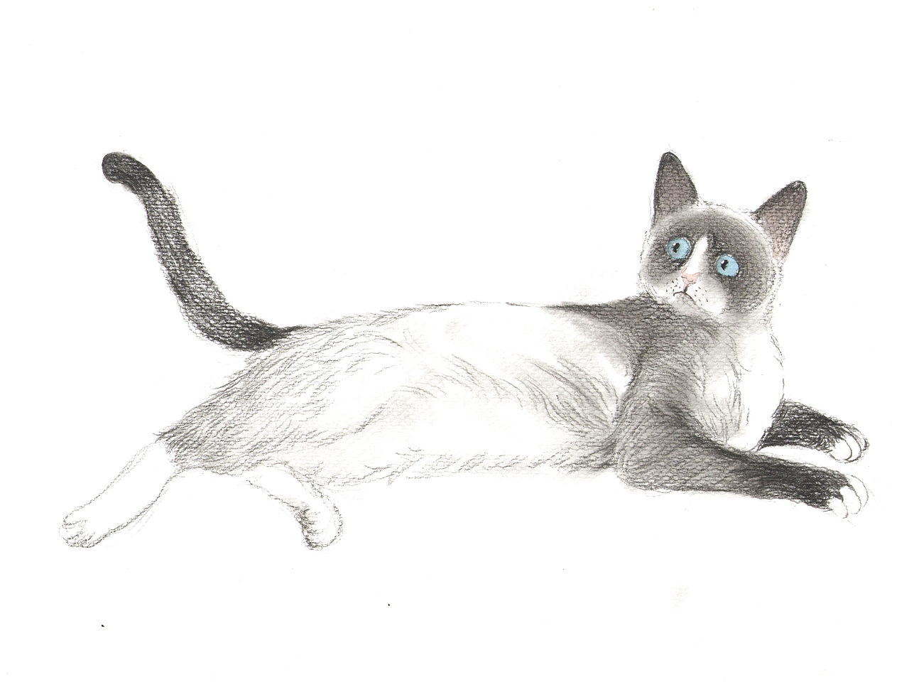 《猫奴》插画（图ZMTY5ODYyMjY4） - 商业插画 - 站酷设计师废纸原创素材 - 站酷ZCOOL