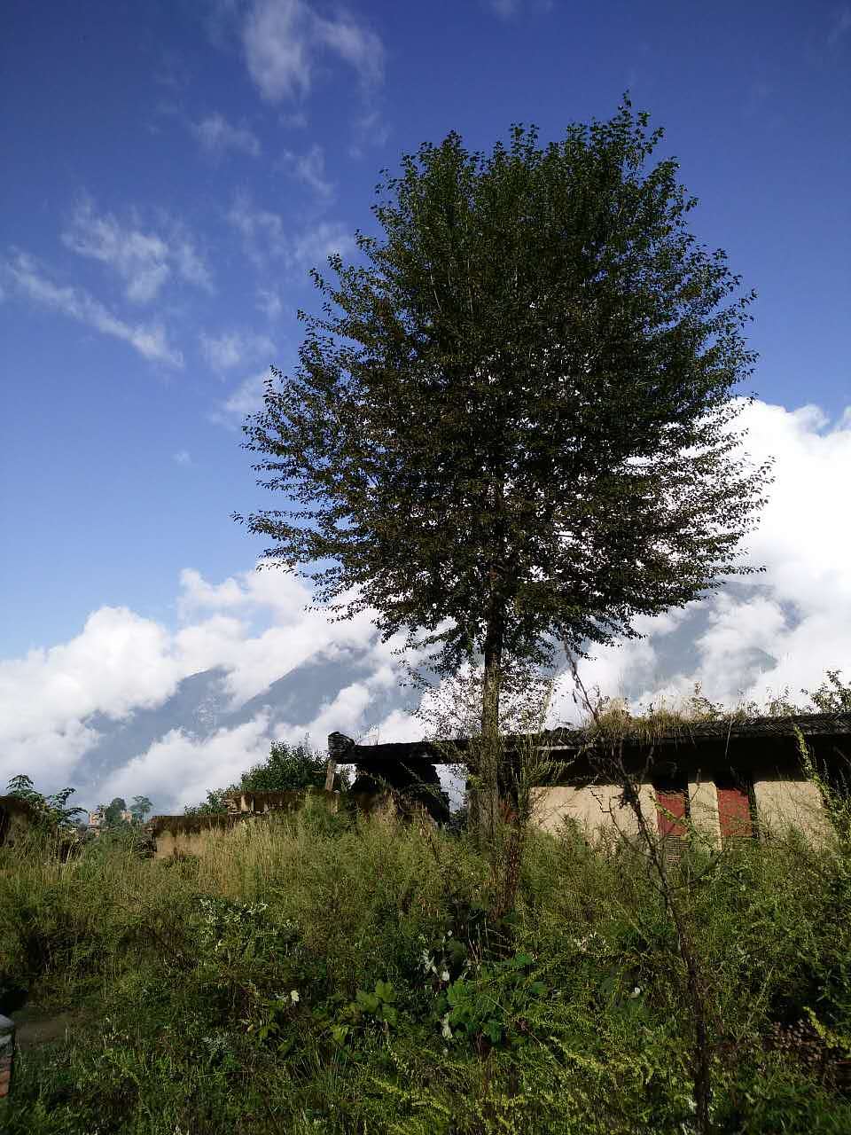 大美川西，康定、甘孜、雅安、汶川、若尔盖高原草原、红原黄河第一湾，全手机拍摄！（图ZNjg5NDMzOTI=） - 风光摄影 - 站酷设计师tclicoo原创素材 - 站酷ZCOOL