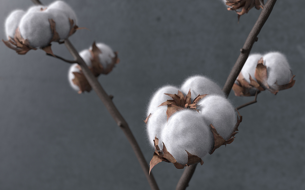 《产品渲染》2021.9（图ZMjcyMjg3Mzk2） - 生活用品 - 站酷设计师沐风la原创素材 - 站酷ZCOOL