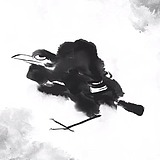 北冥渔人的头像