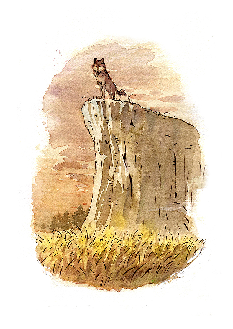 关于狼的一组手绘插画