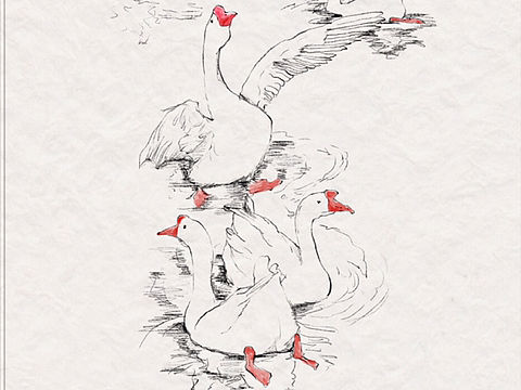 原创 古诗 插画 咏鹅（个人主页-ZNjI0NTY0NDQ=） - 儿童插画 - 站酷设计师春光灿烂Pipi皮原创素材 - 站酷ZCOOL