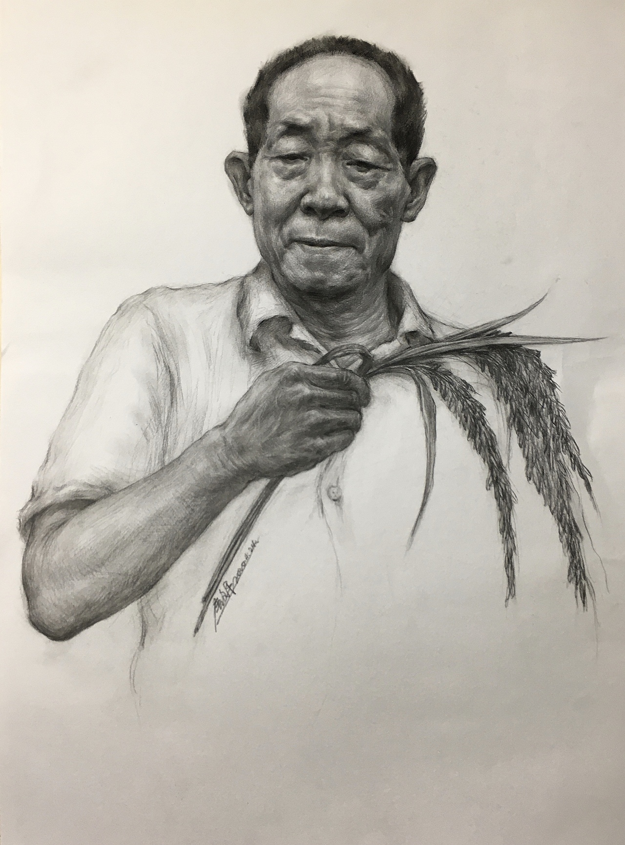 人民英雄袁隆平_唐老师的素描课堂-站酷zcool
