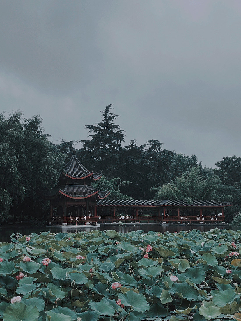 手机拍摄-湖南长沙-橘子洲