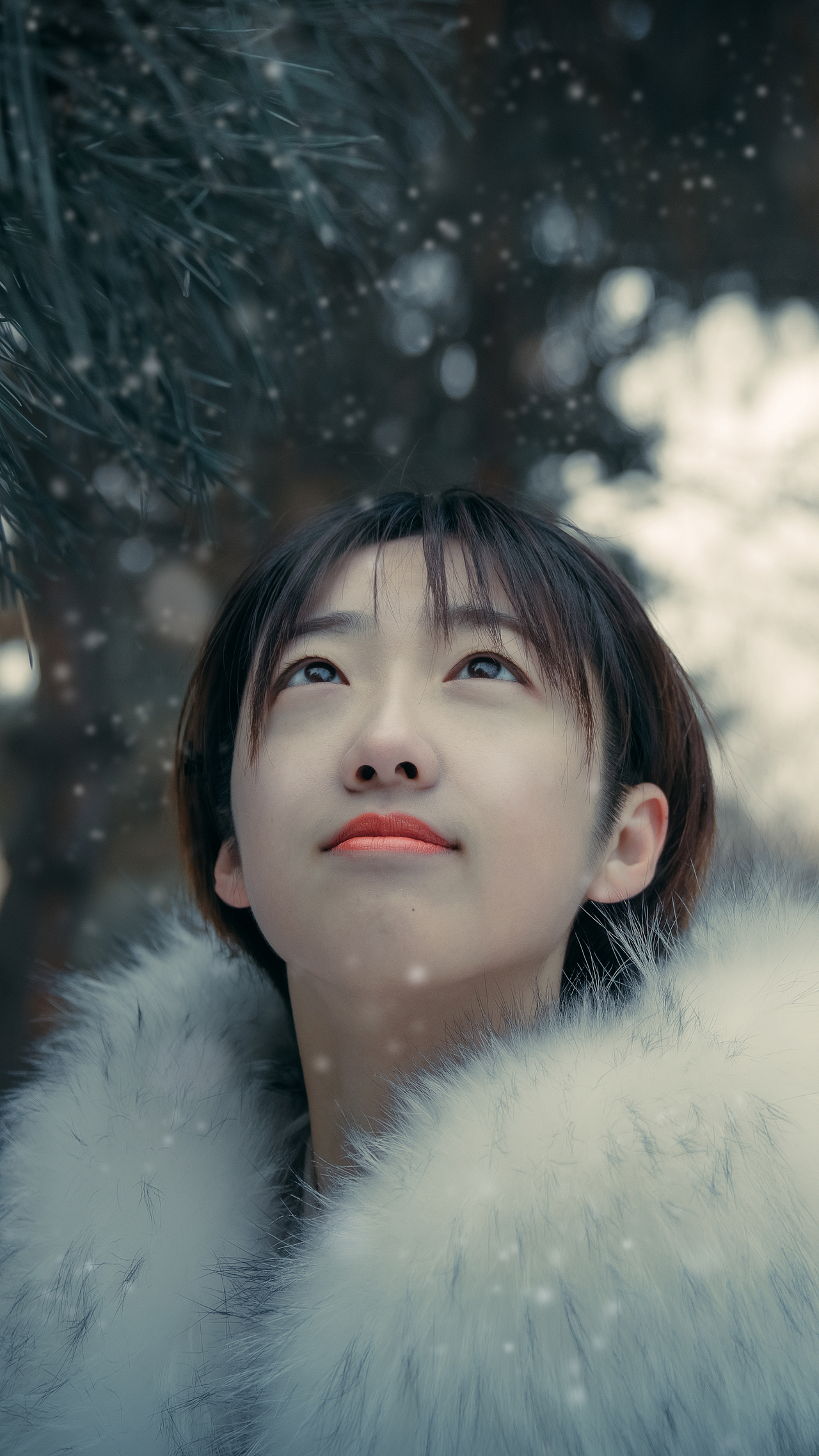 东北揣老少女❄❄❄❄❄