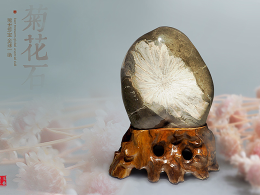 玉叠妃菊花石产品海报