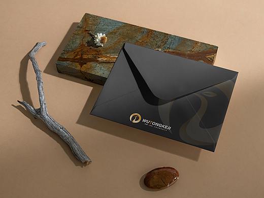 设计小白品牌LOGO及VI设计