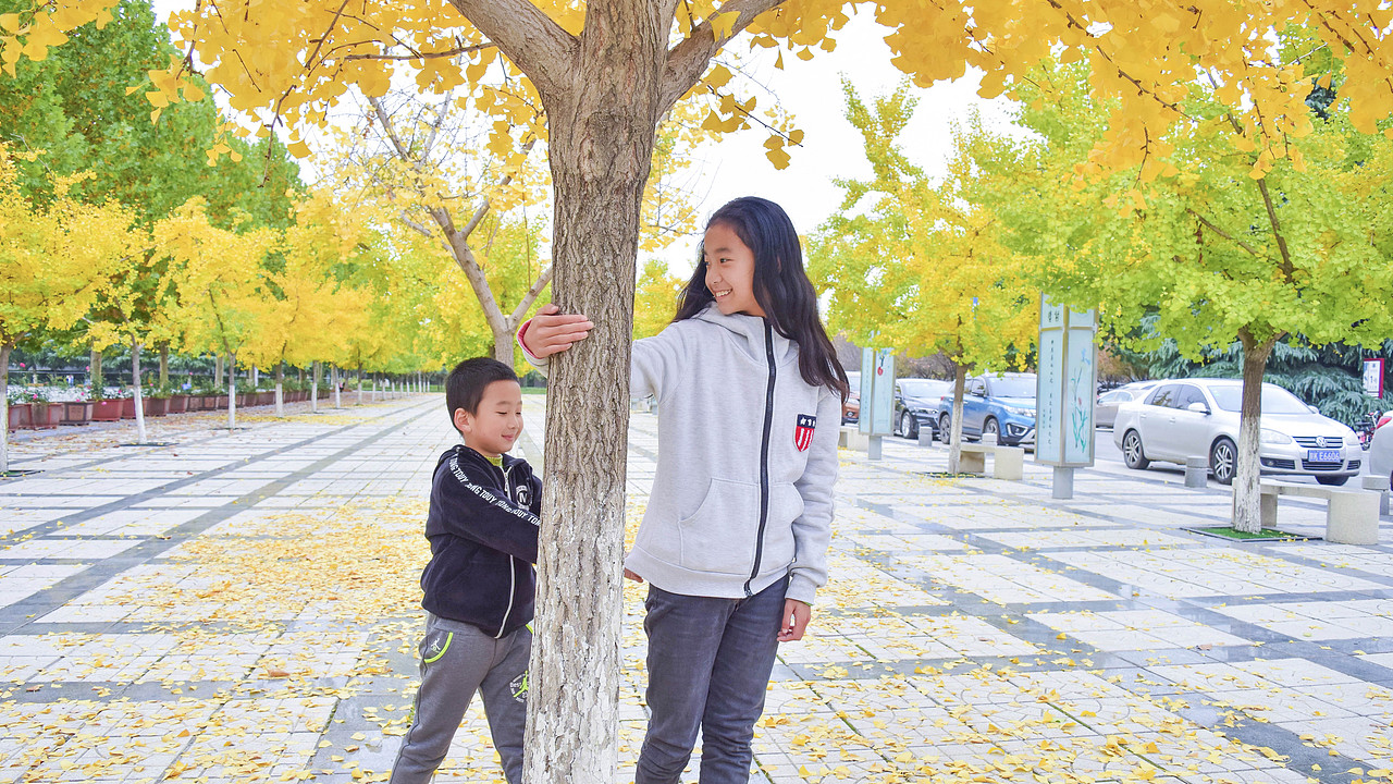 siSter 、brOther and银杏树（图ZOTU1ODQwMDA=） - 人像摄影 - 站酷设计师苏锦锦原创素材 - 站酷ZCOOL