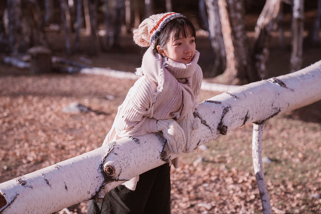 白桦林（和自己有关的故事）