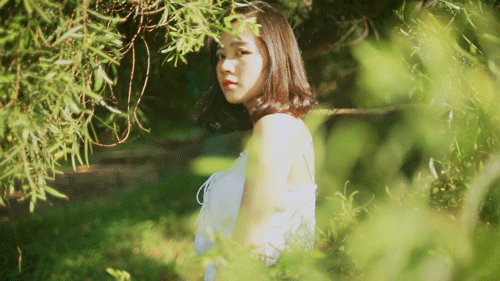 喜欢初夏透着光的树林