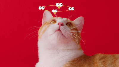 疯狂星期四 | KFC联名zeze&inlight光合