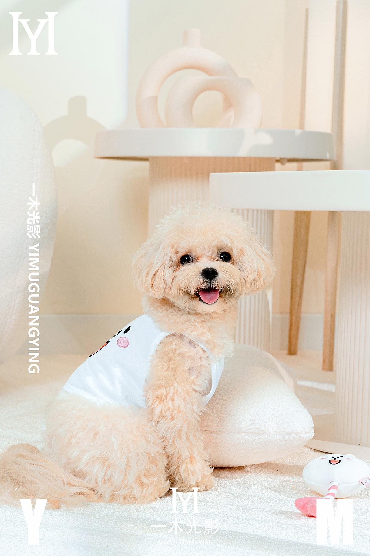 一木光影——yoomi品牌宠物用品拍摄