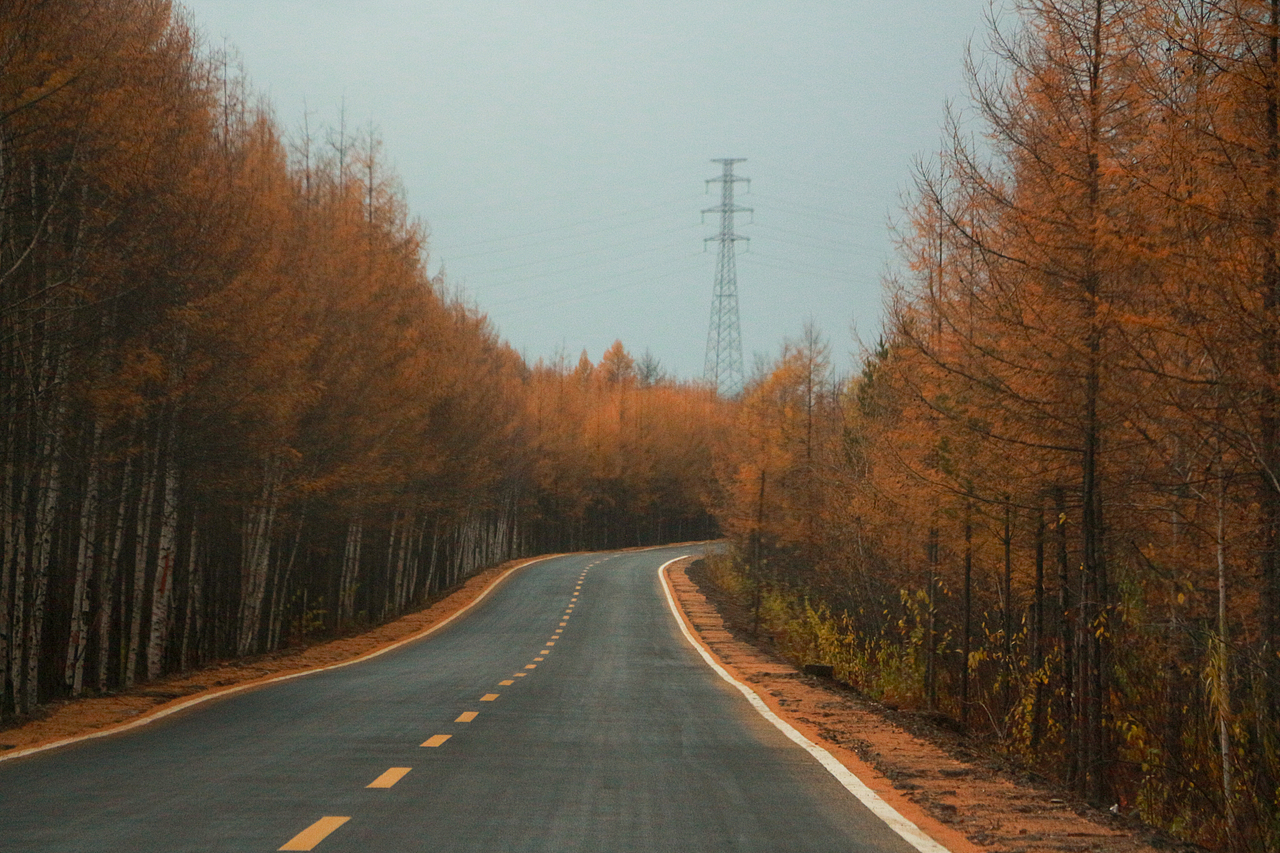 哈尔滨，呼伦贝尔，2020（图ZMzU5ODEyMTUy） - 风光摄影 - 站酷设计师程小灰啊原创素材 - 站酷ZCOOL