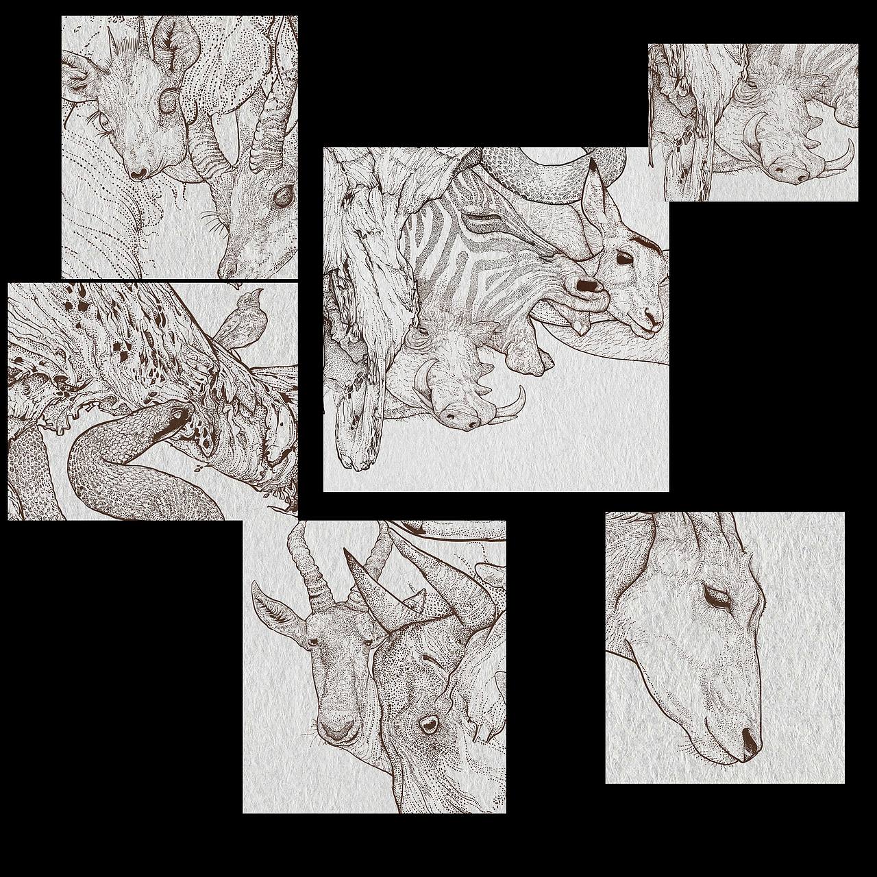 动物插画-《狂野非洲-俺们都是吃素的》（图ZMzQ5OTcwNjAw） - 商业插画 - 站酷设计师狮子大亨原创素材 - 站酷ZCOOL