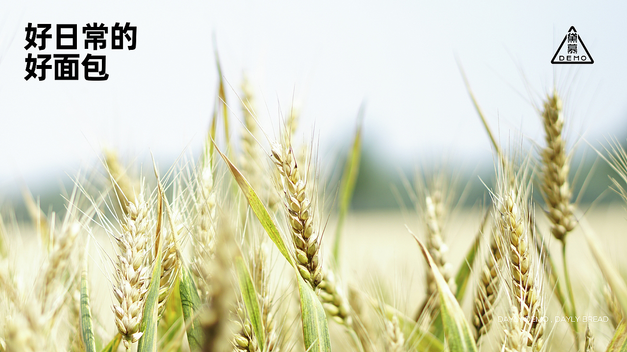 黛慕DEMO-烘焙品牌升级
