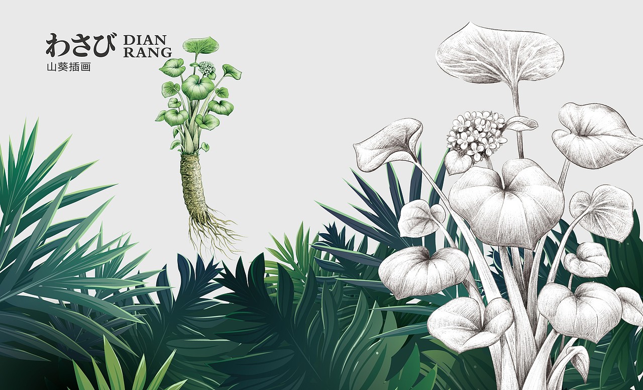 山葵泥包装设计 | LOGO/VI设计 | 食品包装设计