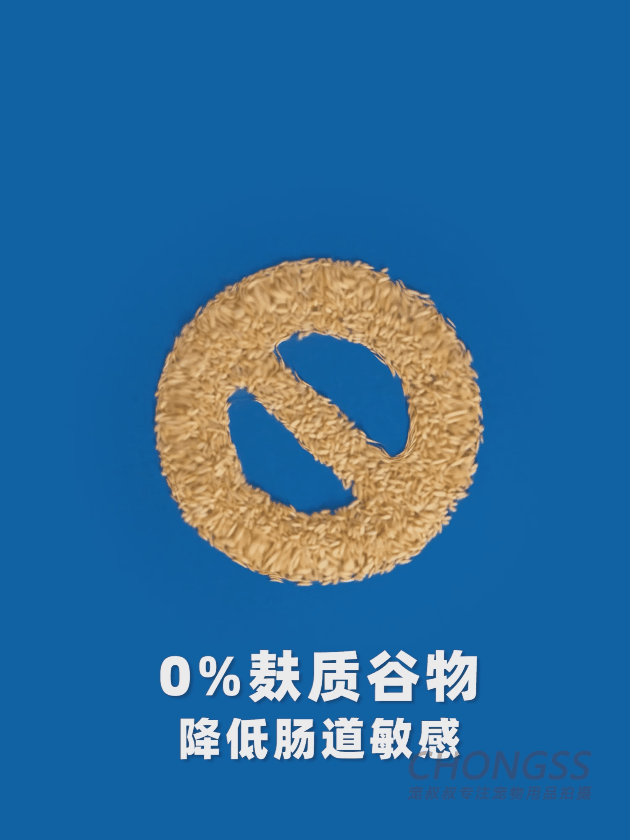 宠物产品摄影|宠叔叔  X  未食计划
