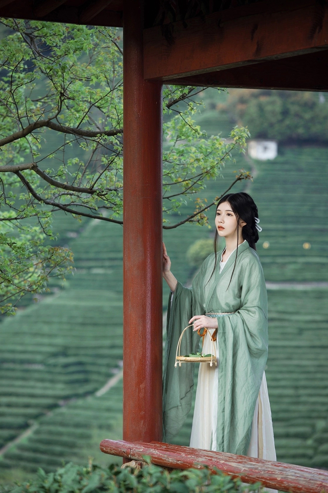我家有茶园（图ZMzM2MzI1Mzk2） - 人像摄影 - 站酷设计师创美空间摄影原创素材 - 站酷ZCOOL