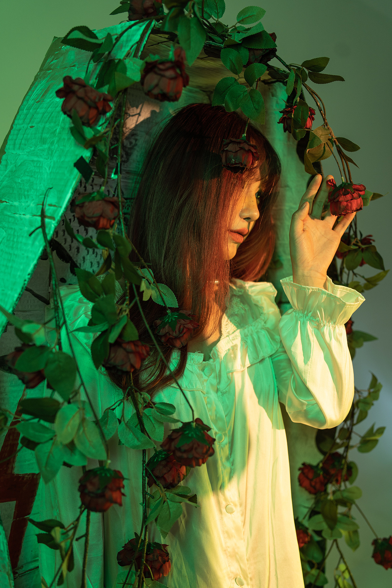 玫瑰花的葬礼??废弃玫瑰花改造拍摄计划|爱图仕布光