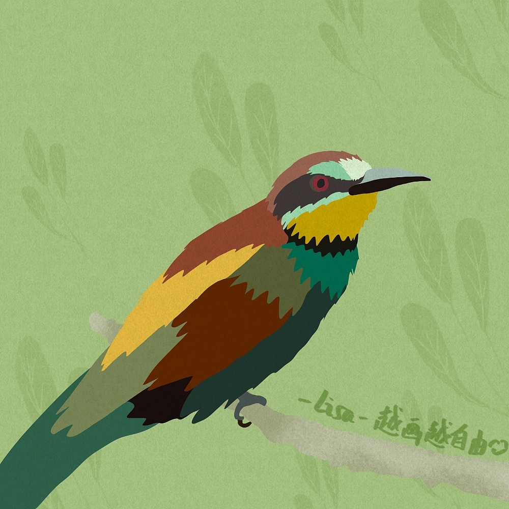 自由插画师可以为世界做些什么—81只鸟作品集