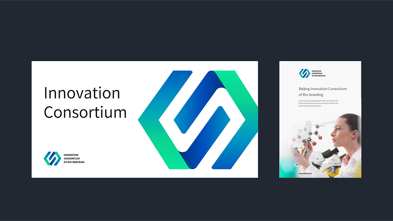 创新种业品牌设计