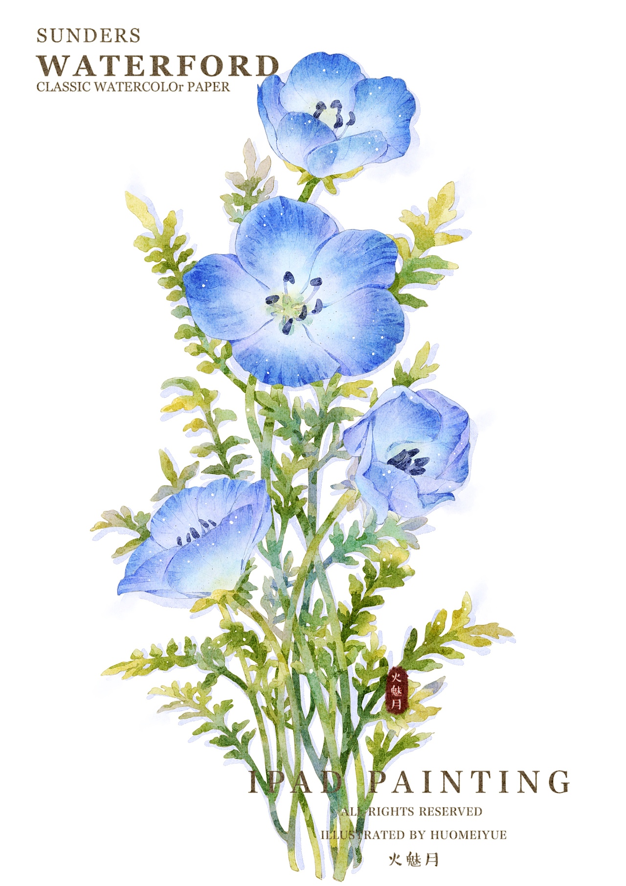 水彩花卉合集（图ZMzU3MDQ3ODEy） - 商业插画 - 站酷设计师火魅月月原创素材 - 站酷ZCOOL