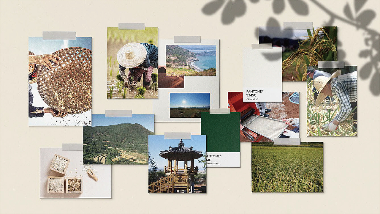 2021年稻本香提案（下半部）（图ZMzIyMjM0MjE2） - 品牌 - 站酷设计师JAYSONWANGdesign原创素材 - 站酷ZCOOL