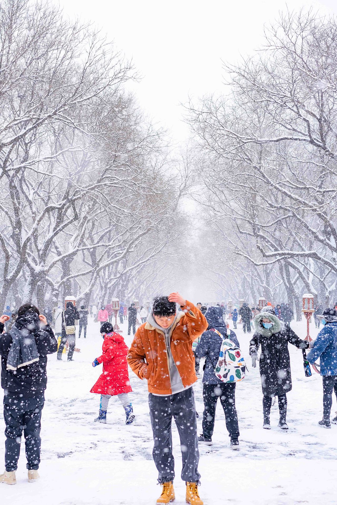 天坛大雪（图ZMzMxMjIwNDA4） - 人像摄影 - 站酷设计师学霸模式开启原创素材 - 站酷ZCOOL