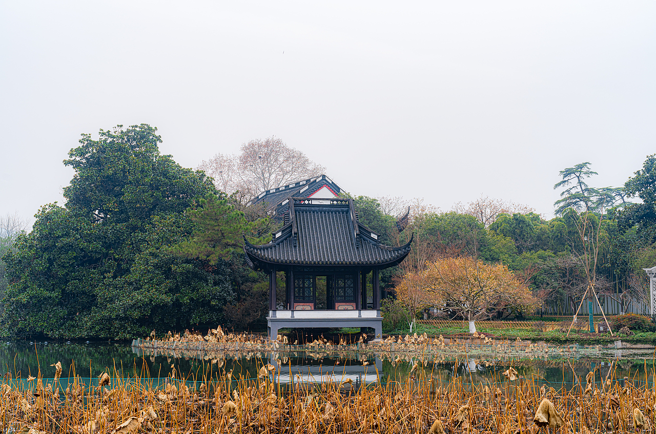 【风光摄影】元旦的西湖·浓雾篇